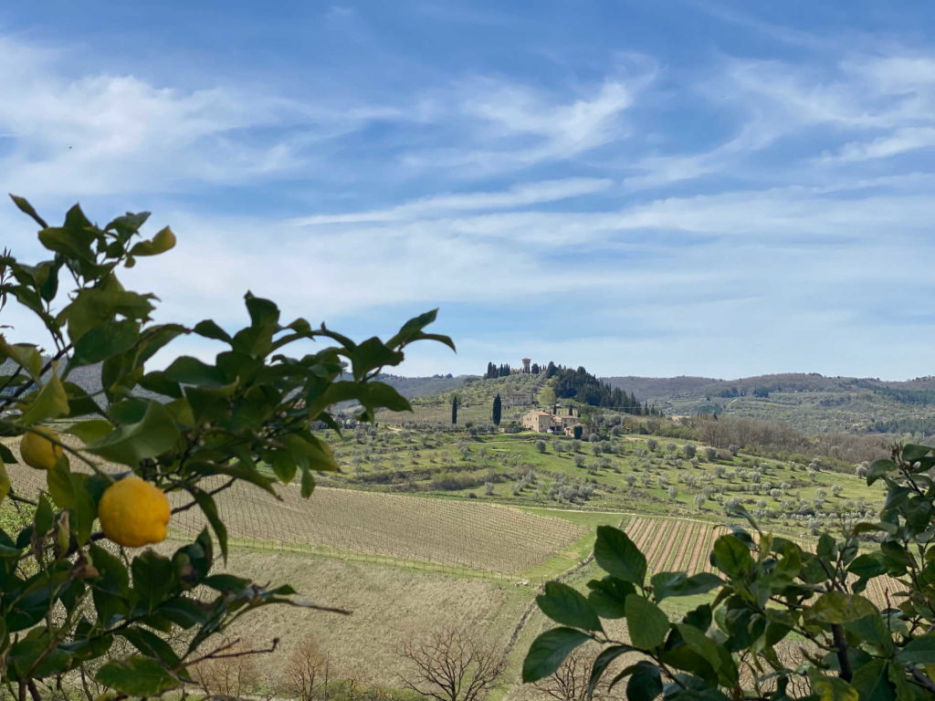 the view from behind the branches of the lemon tree over the fields from our Bed And Breakfast in Greve in Chianti, Corte Di Valle.