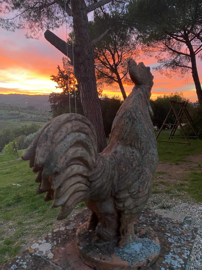 statue of a cockerel in the light of the setting sun in our Bed And Breakfast in Greve In Chianti, Corte Di Valle.