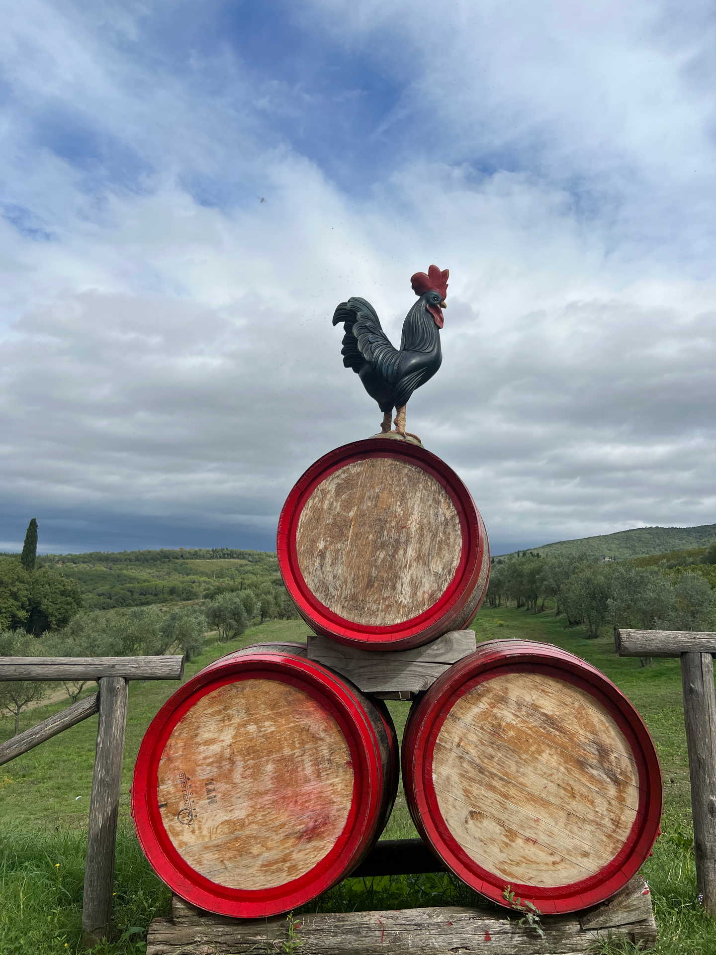 The figure of a cock on barrels in the garden of our Bed And Breakfast in Greve in Chianti, Corte Di Valle.