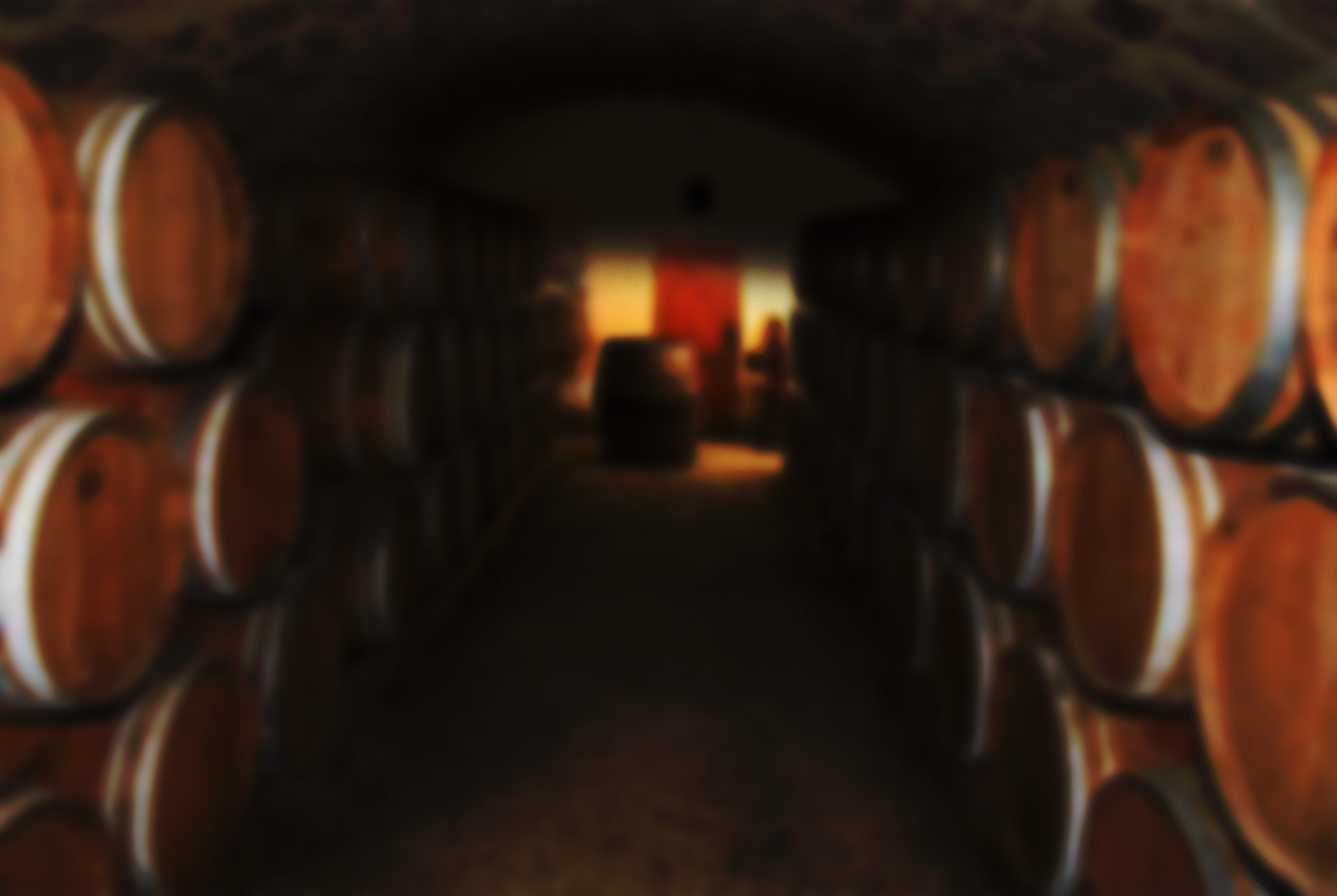 view of the cellars with barrels of our wine, the Bed And Breakfast in Greve In Chianti, Corte Di Valle