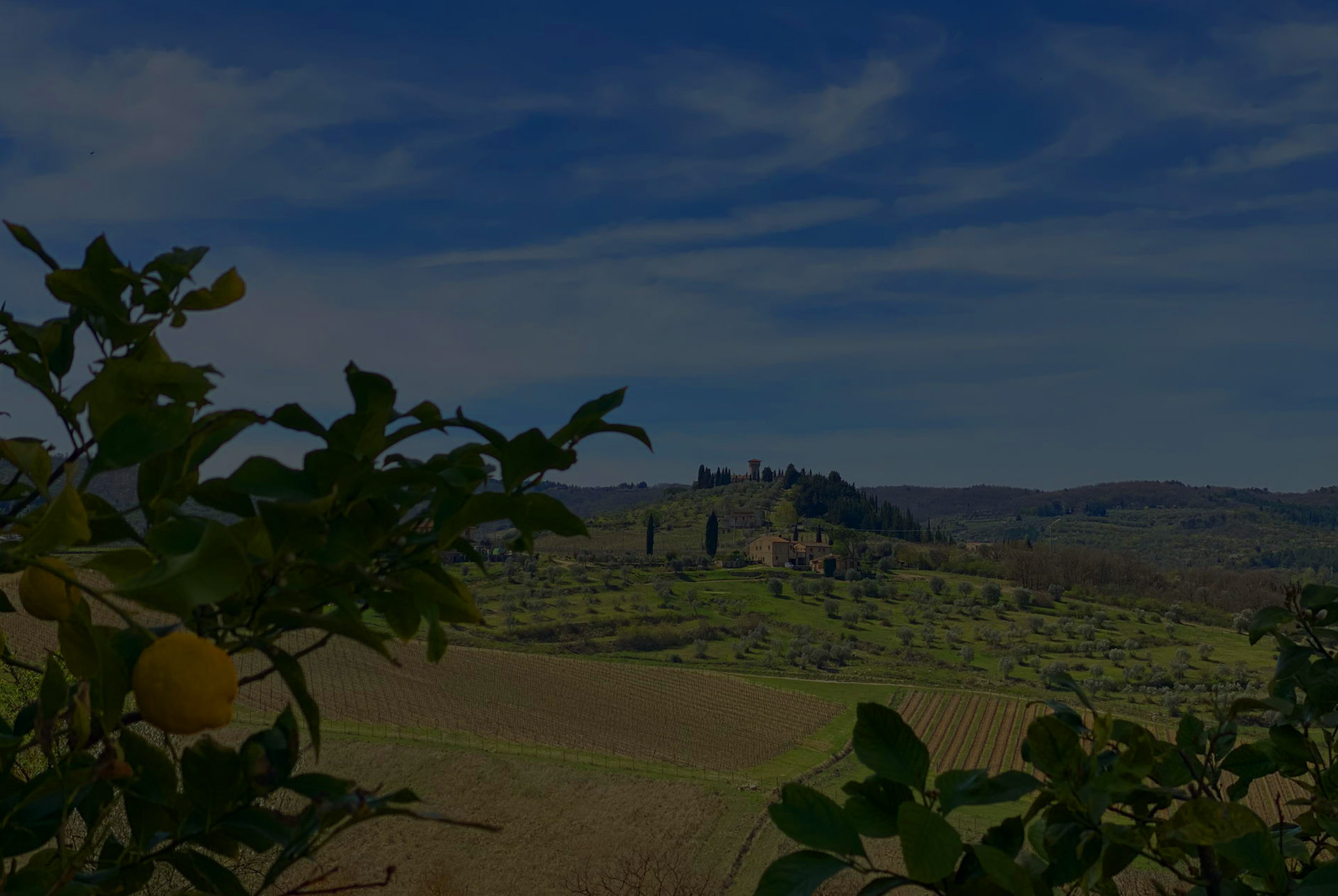 view of the surroundings on a sunny day of our Bed And Breakfast in Greve In Chianti, Corte Di Valle