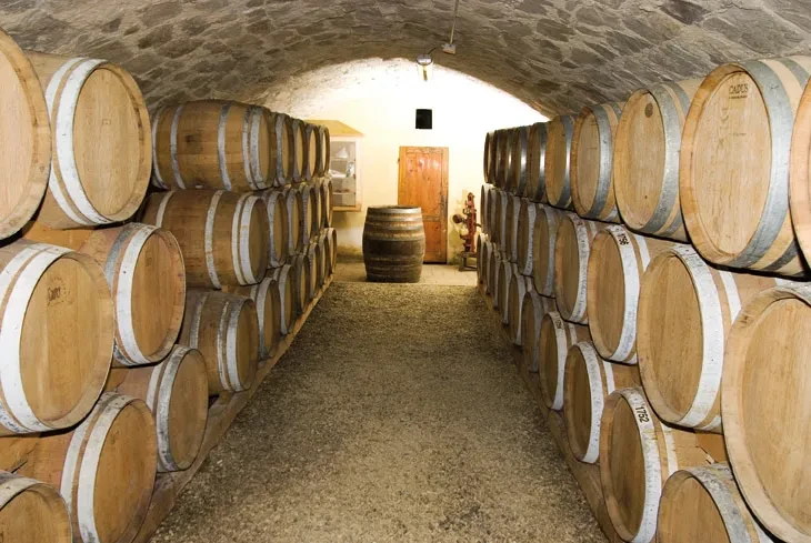 Cantina con botti di legno allineate.