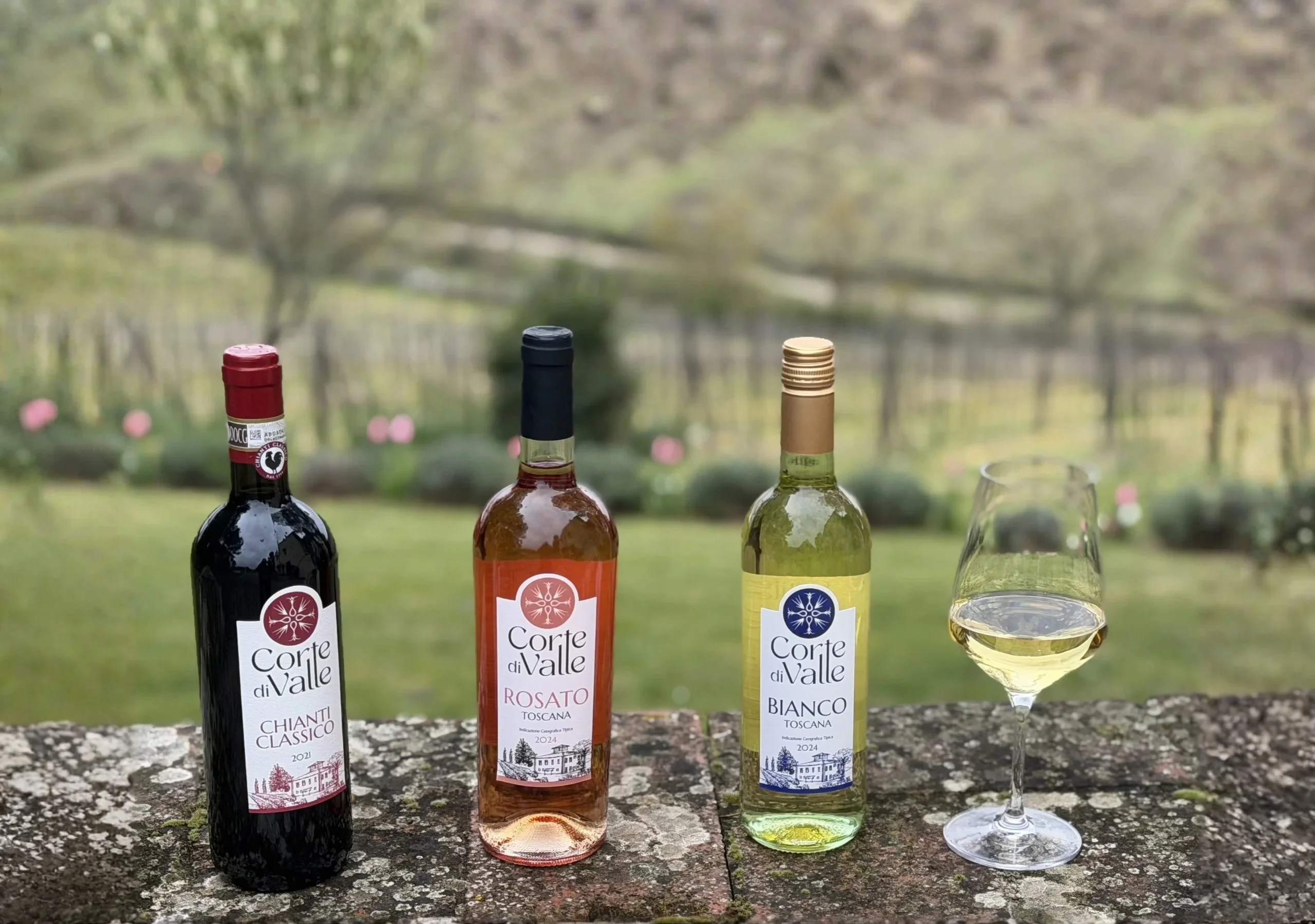 Bottiglie di vino toscano e calice in vigneto