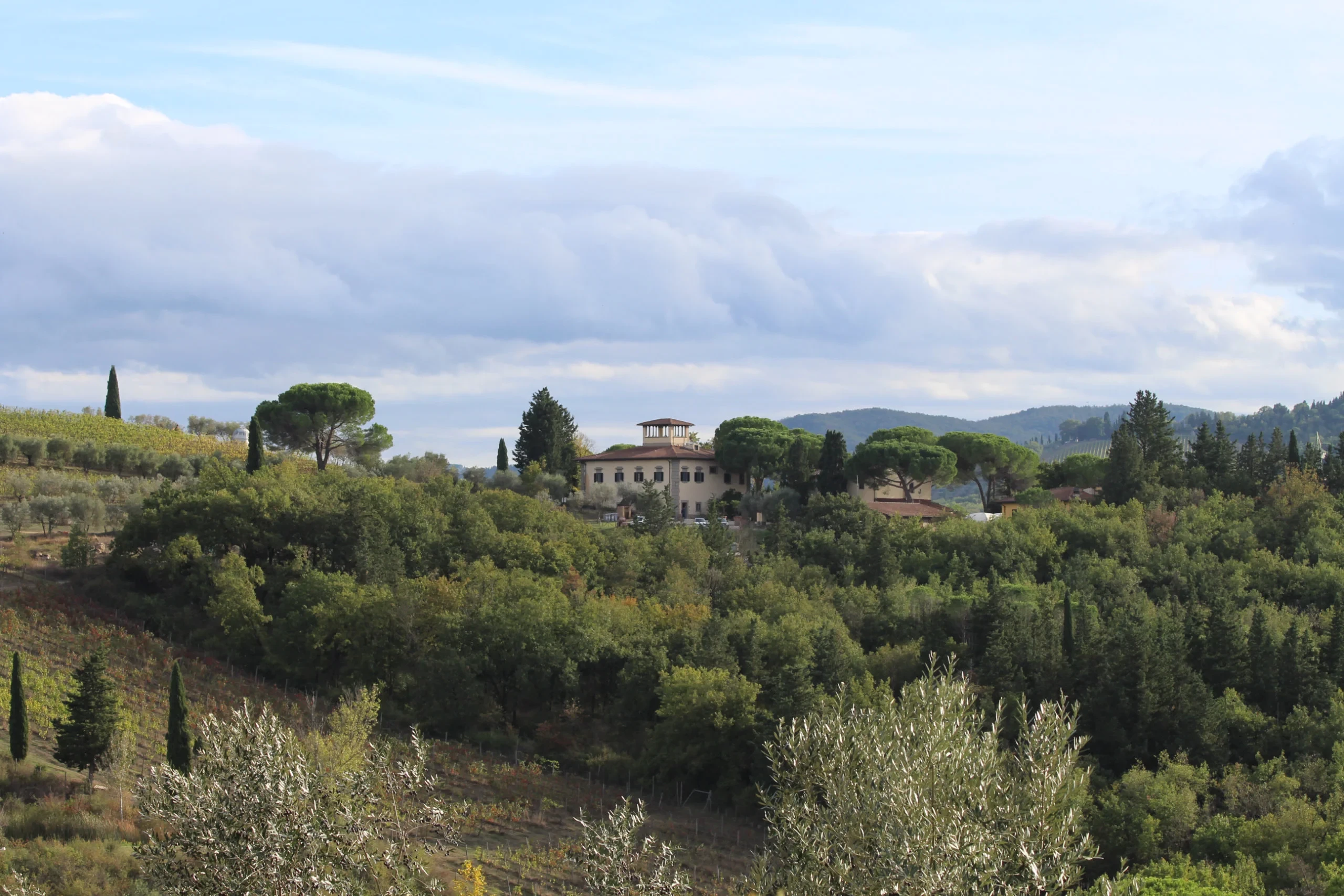 Paesaggio collinare con villa e alberi lussureggianti.