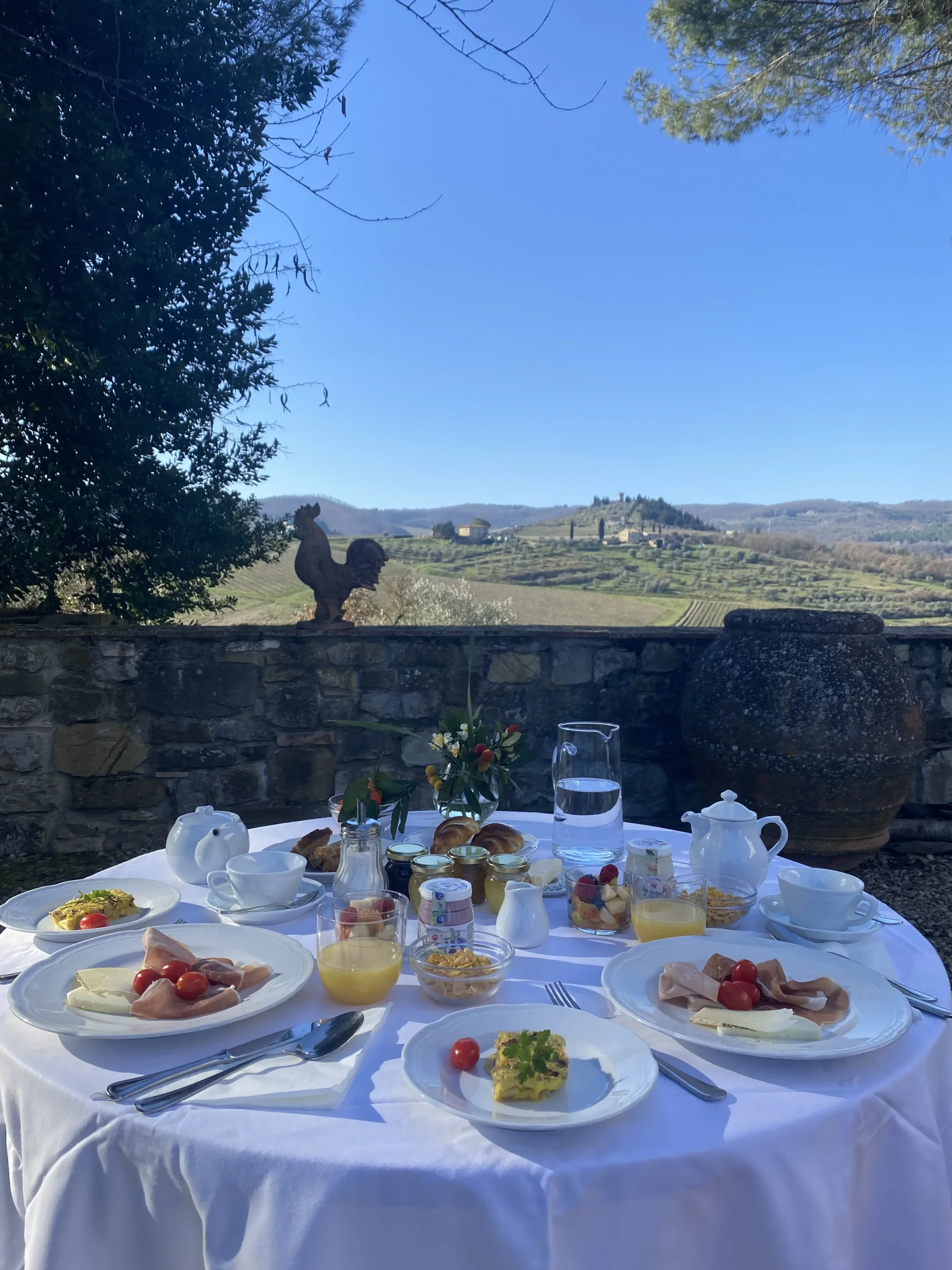 Colazione all'aperto con vista panoramica sulla campagna.